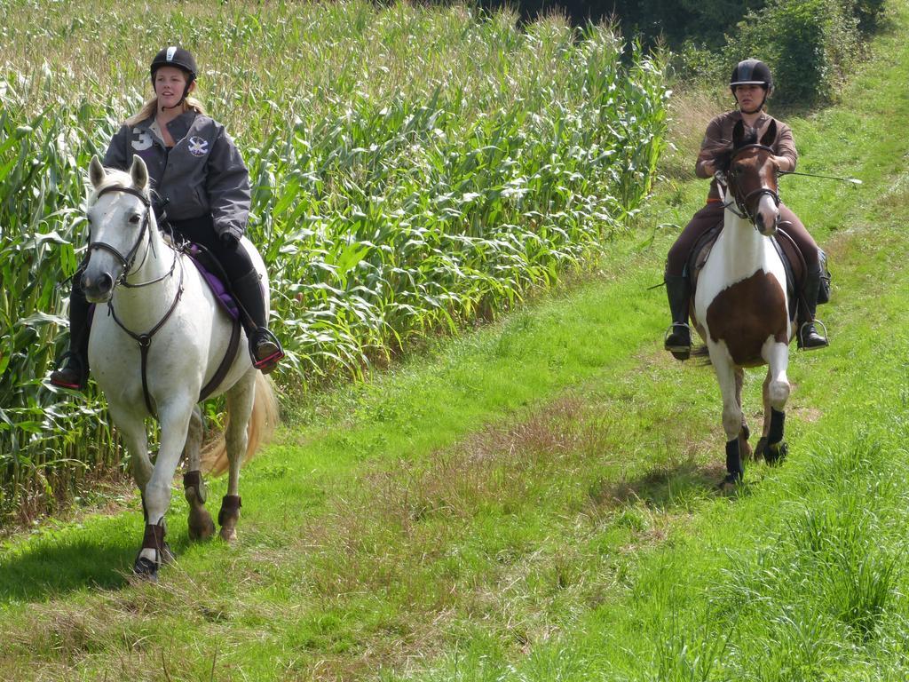 Tours-en-Vimeu Gite Et Relais Equestre De Marie מראה חיצוני תמונה