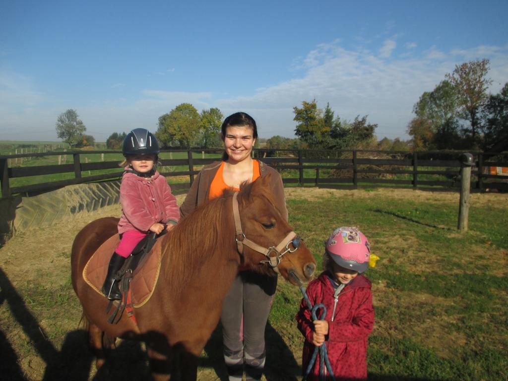 Tours-en-Vimeu Gite Et Relais Equestre De Marie מראה חיצוני תמונה
