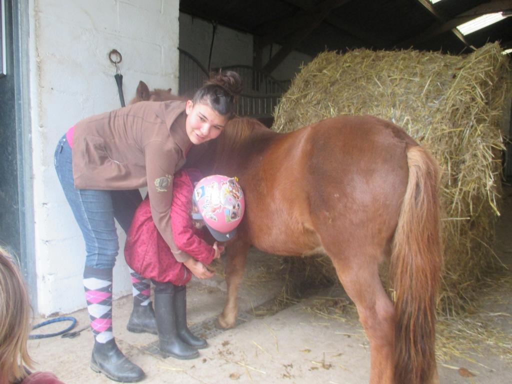 Tours-en-Vimeu Gite Et Relais Equestre De Marie מראה חיצוני תמונה