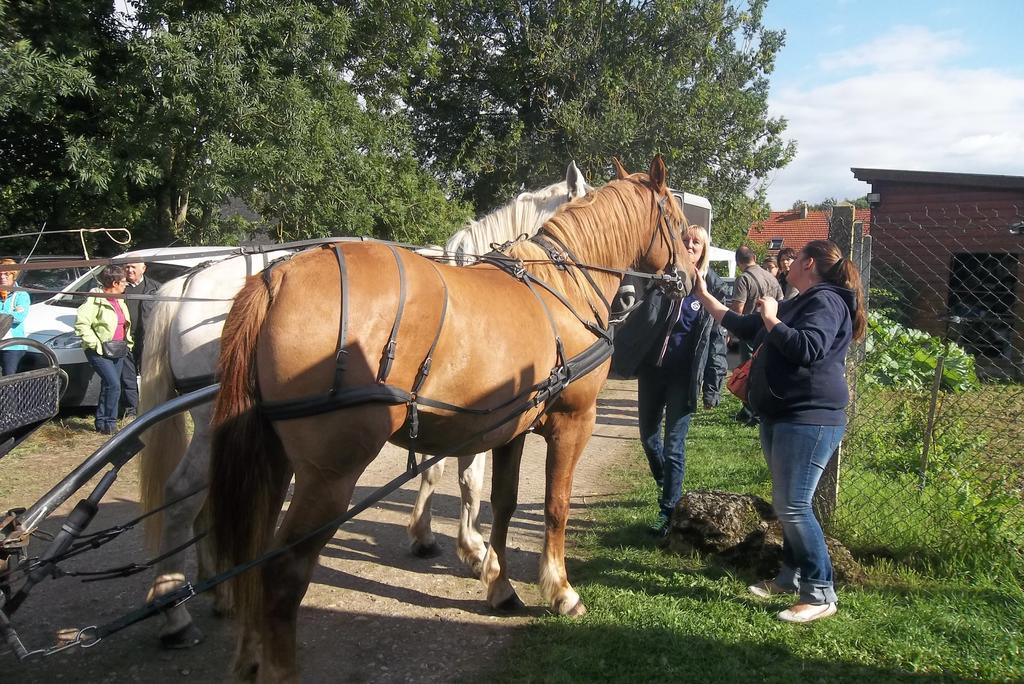 Tours-en-Vimeu Gite Et Relais Equestre De Marie חדר תמונה