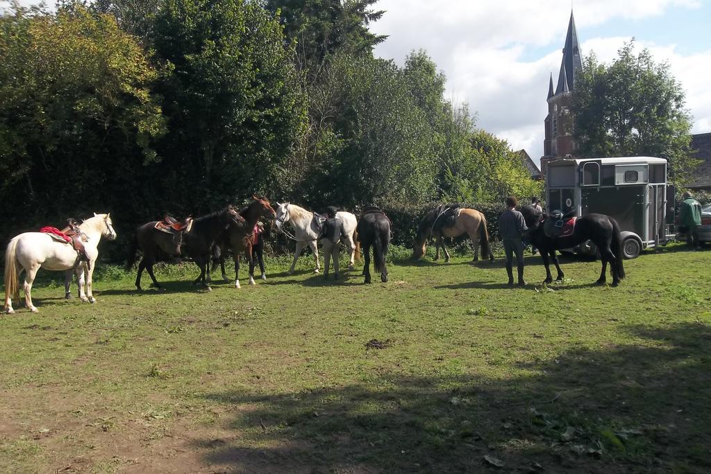 Tours-en-Vimeu Gite Et Relais Equestre De Marie מראה חיצוני תמונה