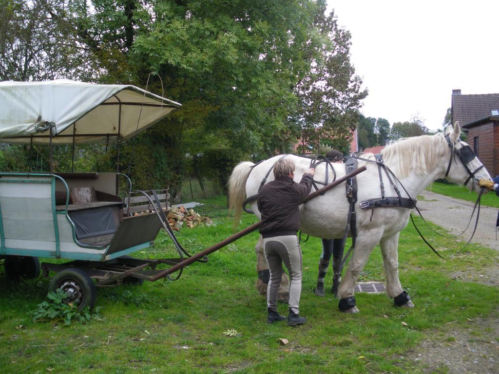 Tours-en-Vimeu Gite Et Relais Equestre De Marie חדר תמונה
