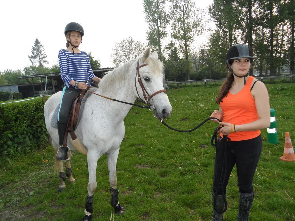 Tours-en-Vimeu Gite Et Relais Equestre De Marie חדר תמונה