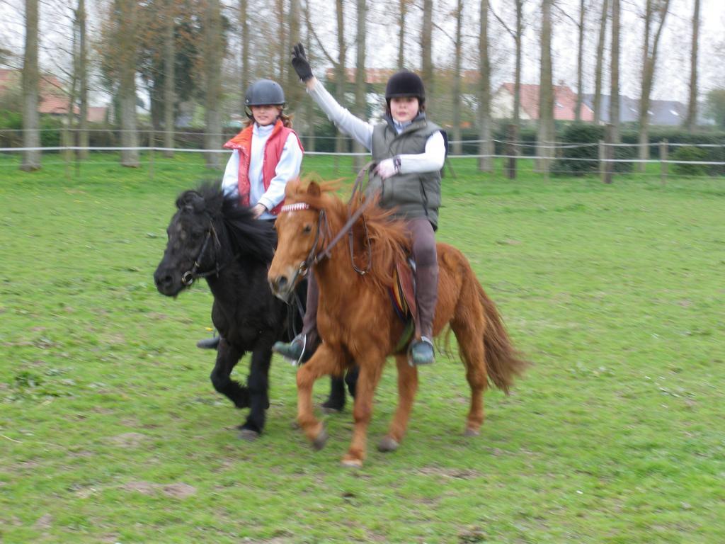 Tours-en-Vimeu Gite Et Relais Equestre De Marie חדר תמונה