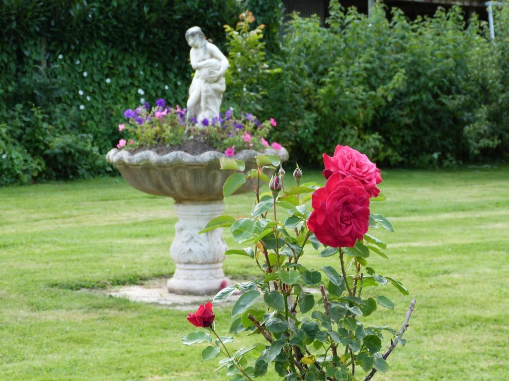 Tours-en-Vimeu Gite Et Relais Equestre De Marie חדר תמונה
