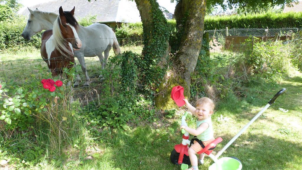 Tours-en-Vimeu Gite Et Relais Equestre De Marie מראה חיצוני תמונה