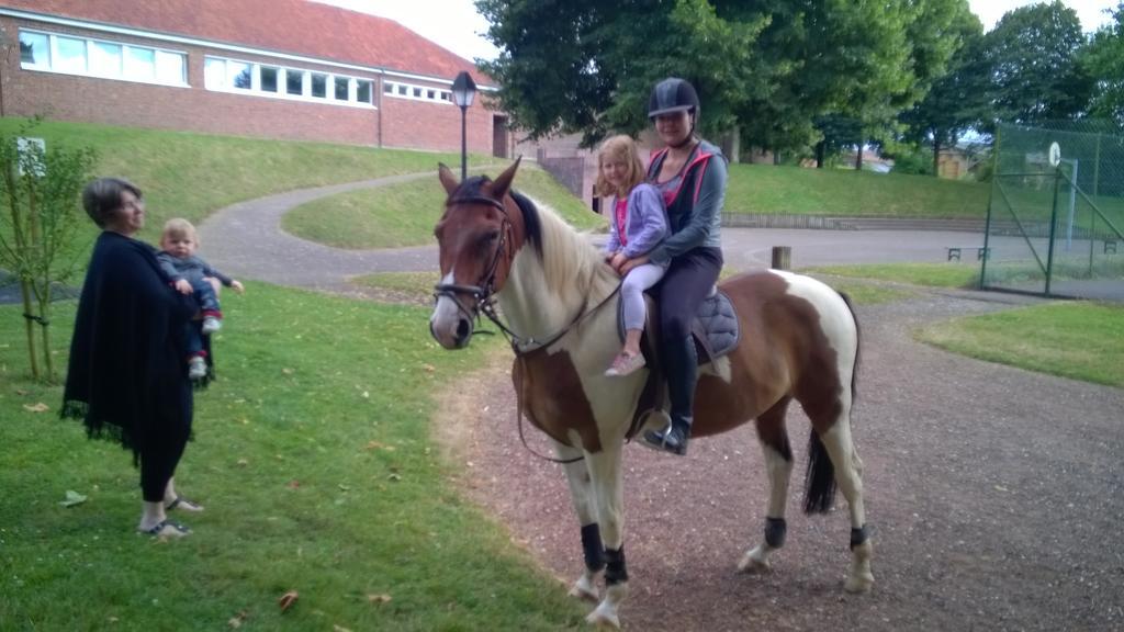 Tours-en-Vimeu Gite Et Relais Equestre De Marie מראה חיצוני תמונה